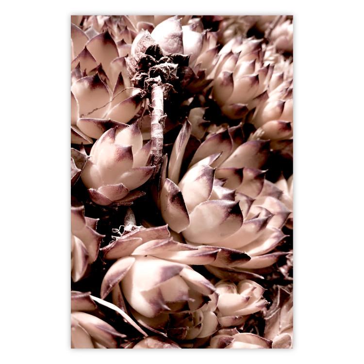 Poster Orpheus - natural plants with white flowers and purple details
