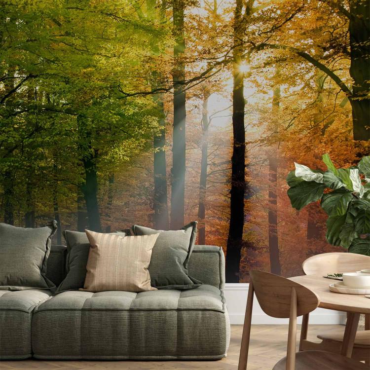Wall Mural Forest Colours
