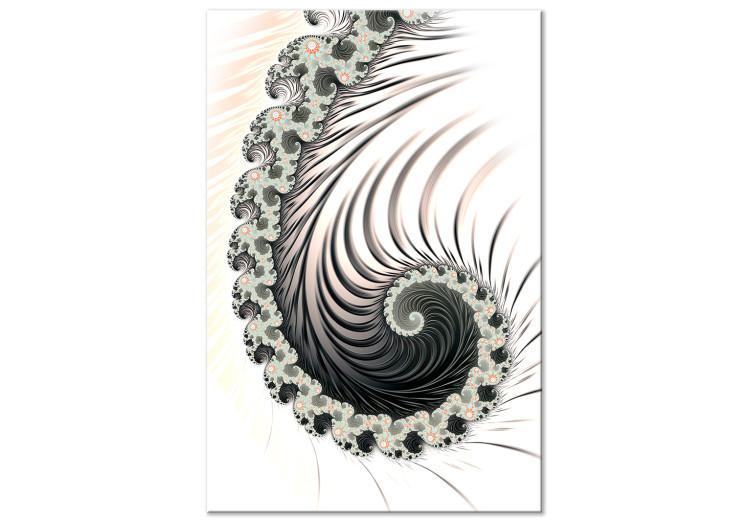 Canvas Print Spiral fractals - a psychedelic pattern on a white background