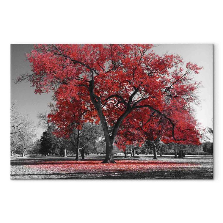 Canvas Print Autumn in the Park (1 Part) Wide Red