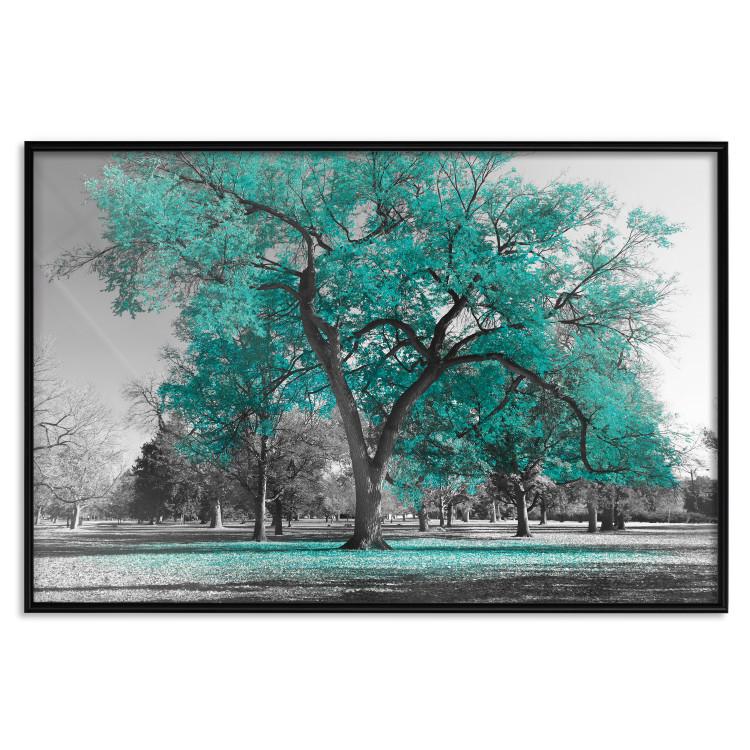 Poster Autumn in the Park (Turquoise) - gray autumn tree and turquoise leaves