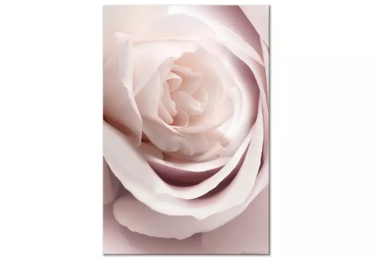 Canvas Print Pastel Charm (1-part) - Blooming Rose in Nature's Hue