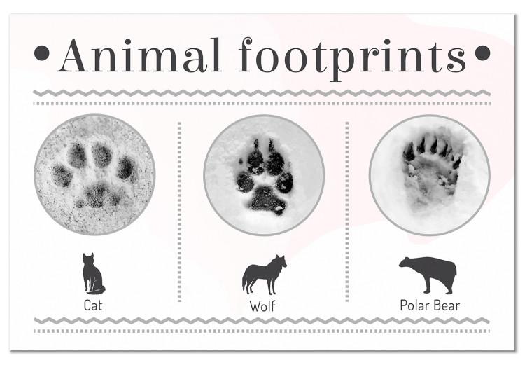Canvas Print Winter footprints - infographic with animals and English inscriptions