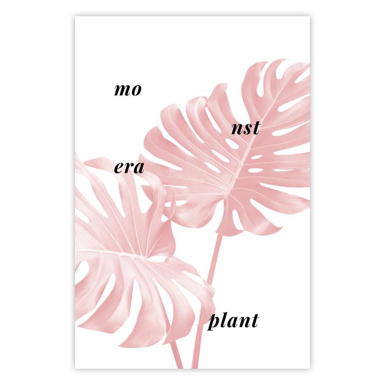 Poster Monstera Plant - tropical leaf with English text on a white background
