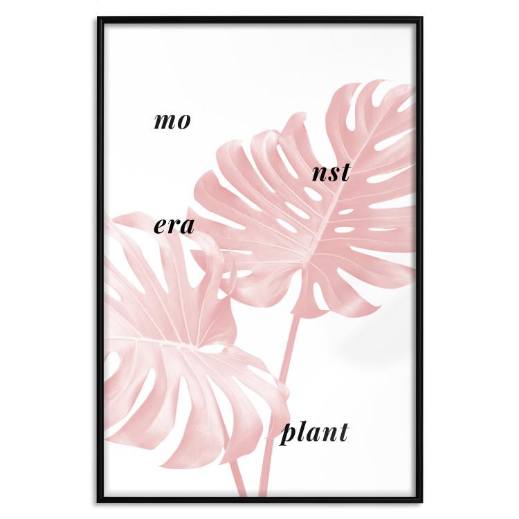 Poster Monstera Plant [Poster]