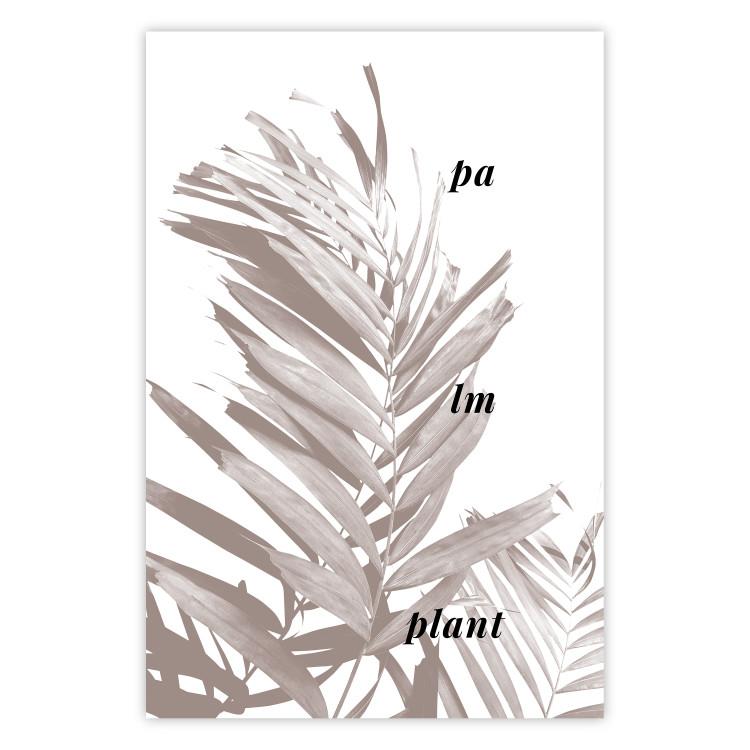 Poster Palm Plant - gray palm leaf with English text on a white background