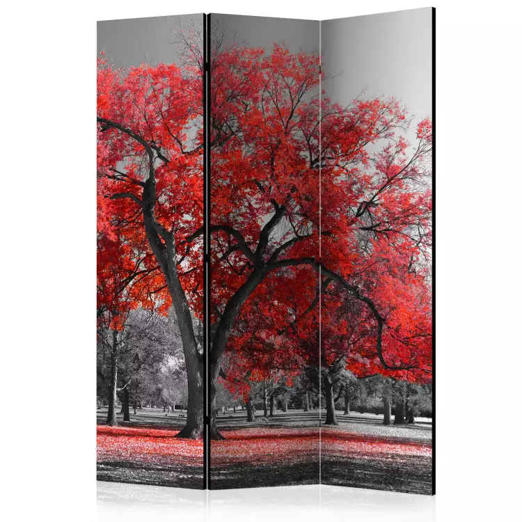 Room Divider Autumn in the Park - black and white landscape with distinct red leaves