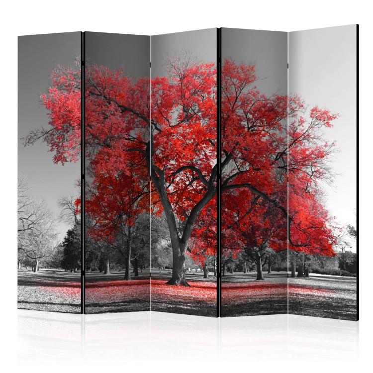 Room Divider Autumn in the Park II - black and white landscape of trees with red leaves