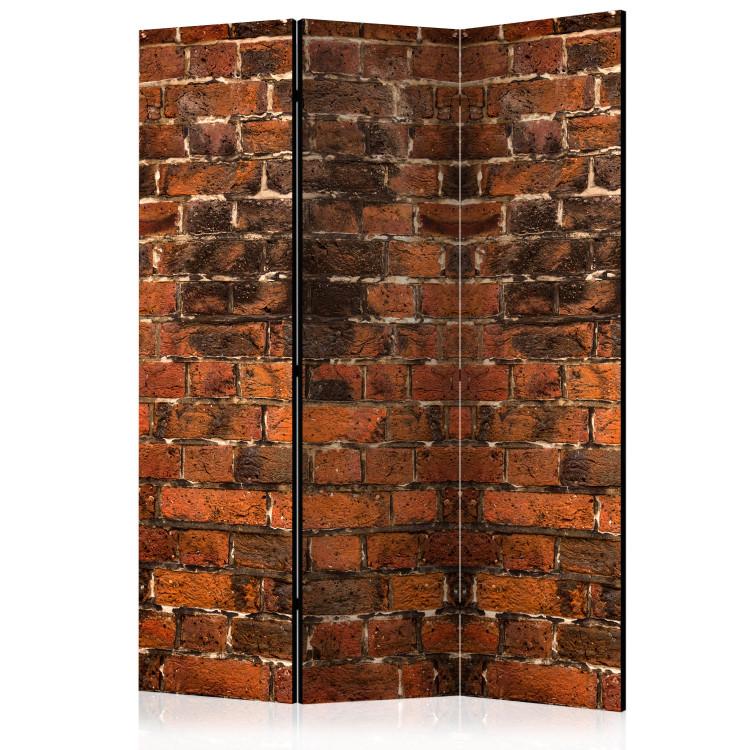 Room Divider Brick Shadow - texture of orange bricks with dark spots