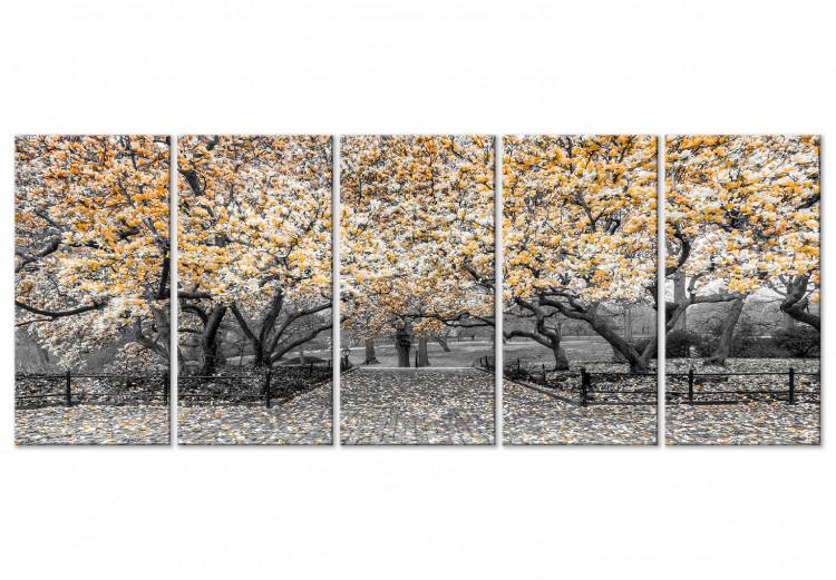 Canvas Print Blooming magnolia trees - black and white photo with yellow accents