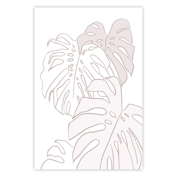 Poster Creamy Monstera - botanical sketches of several monstera leaves on a white background