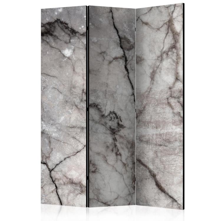 Room Divider Gray Marble - stone texture of gray marble with dark patterns