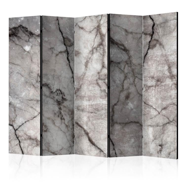 Room Divider Gray Marble II - stone texture of gray marble with dark patterns