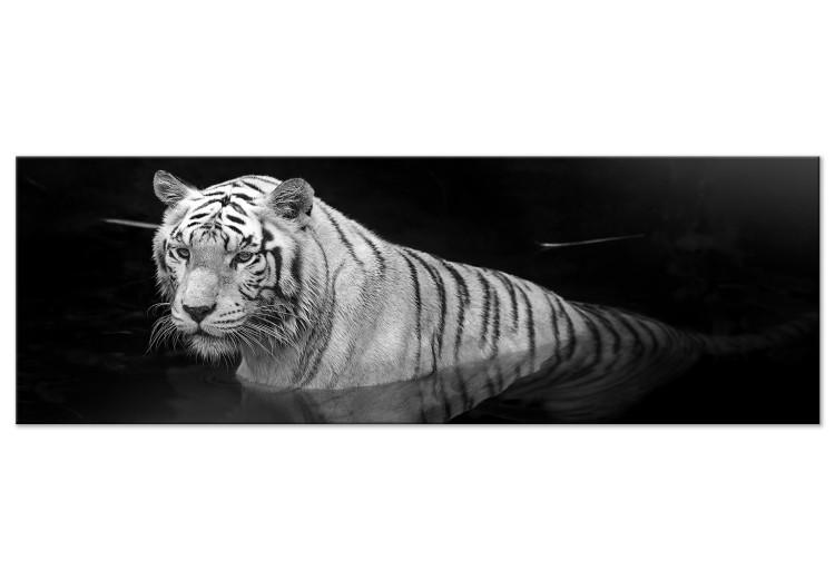 Canvas Print Shining Tiger (1 Part) Black and White Narrow