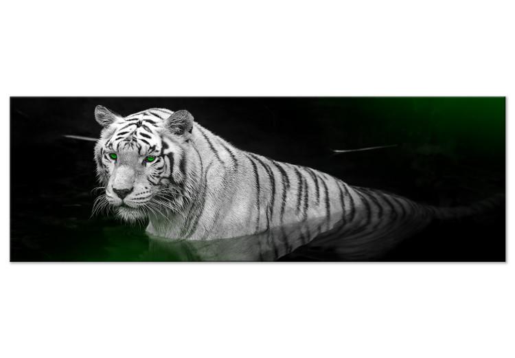 Canvas Print White tiger in the water - a photo of an animal with green eyes