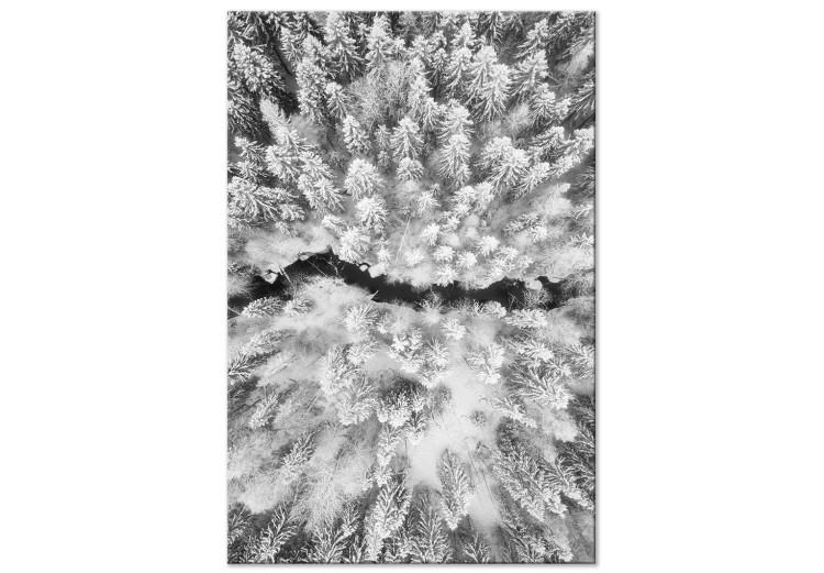 Canvas Print Bird's eye winter forest view - black and white winter landscape photo