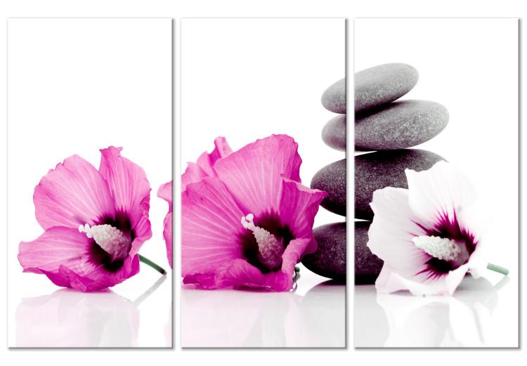 Canvas Print Pink feng shui flowers - oriental composition with mallow and stones