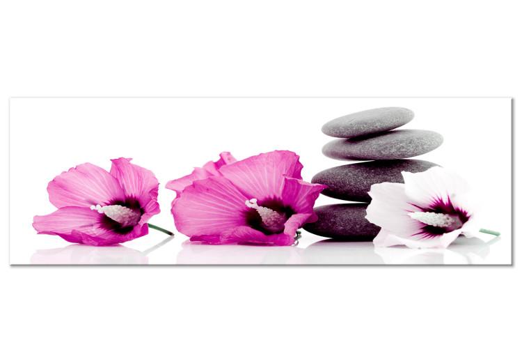 Canvas Print Pink flowers and stones - feng shui composition with mallow and stones