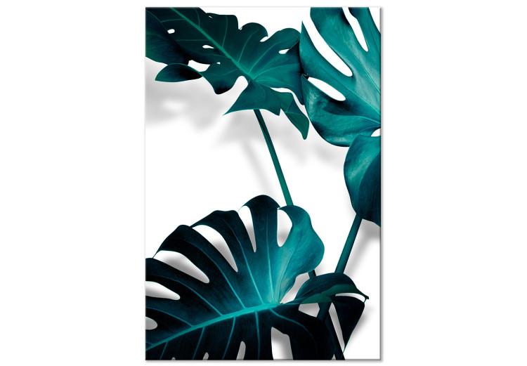 Canvas Print Blooming Monstera (1-part) - Emerald Green Color of Plant Nature