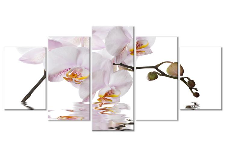 Canvas Print Delightful Orchid (5 Parts) Wide
