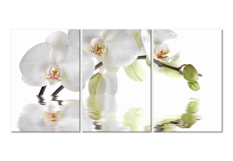 Canvas Print Water Orchid (3-part) - Flower Branch in White Natural Shade