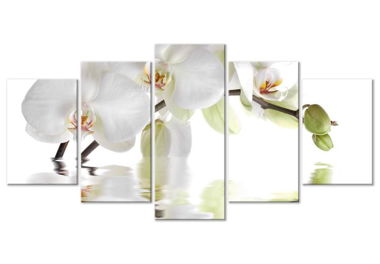 Canvas Print Blooming orchid - abstract theme with white flower on white background