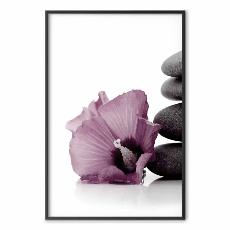 Stone Serenity - plant with pink flower and zen-style stones