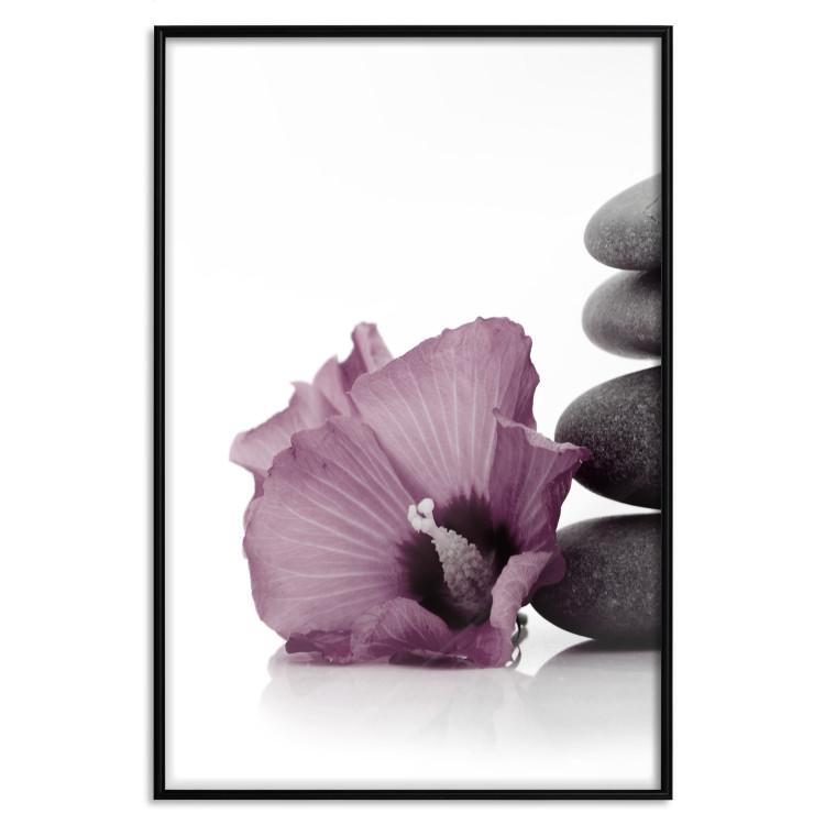 Poster Stone Serenity - plant with pink flower and zen-style stones
