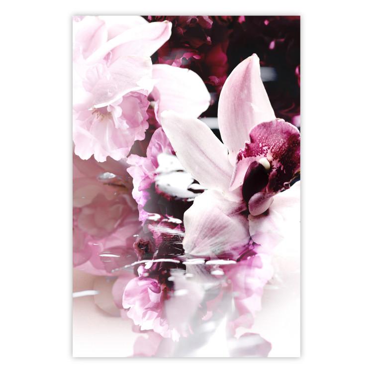 Poster Senna Orchid - fanciful landscape of natural orchid flowers