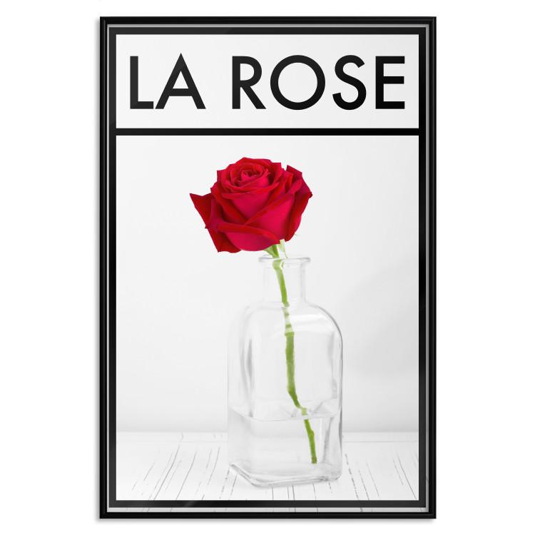 Poster The Rose - English captions and red rose flower in water-filled vase