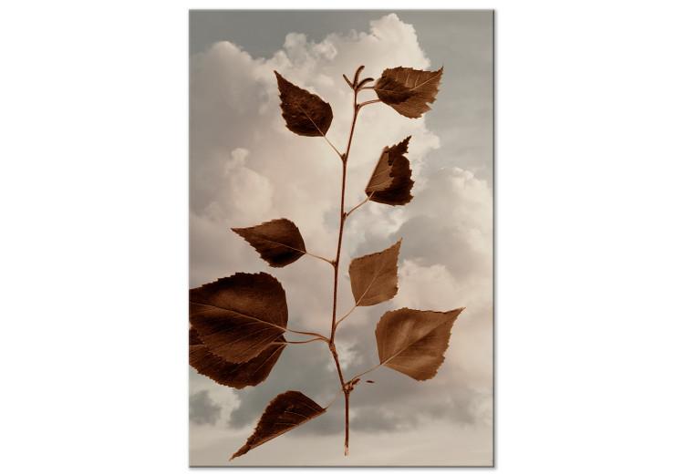 Canvas Print Autumn twig against the sky - botanical motif with white clouds