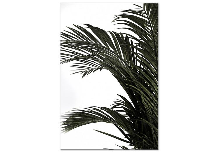 Canvas Print Home palm tree - minimalistic botanical motif with palm leaves