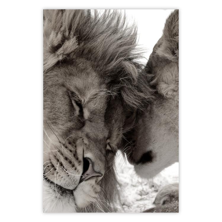 Poster Whispering Dreams - black and white romantic animals on white background