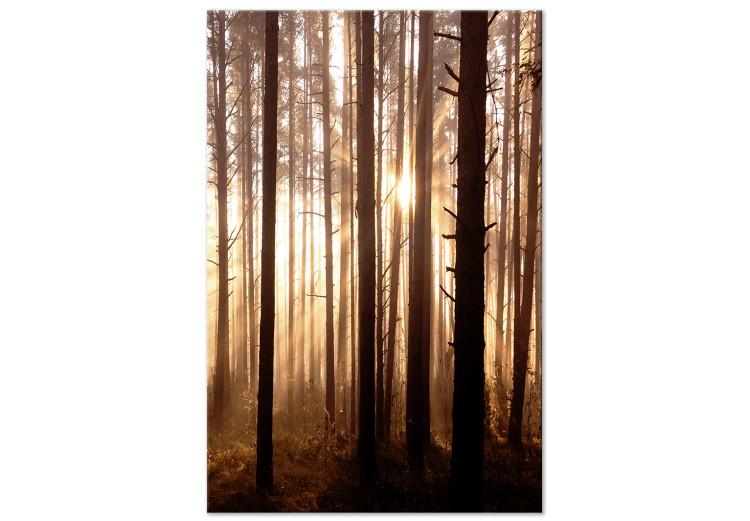 Canvas Print Forest Paths (1 Part) Vertical