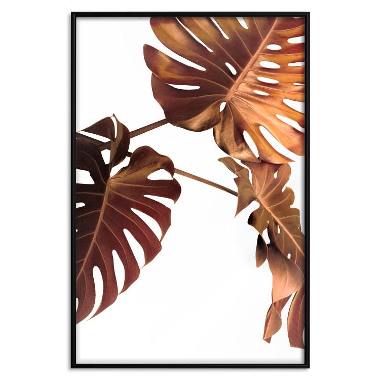 Poster Golden Garden - tropical leaves in copper hue on white background