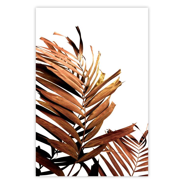 Poster Sunny Effect - tropical leaf in brown hue on white background
