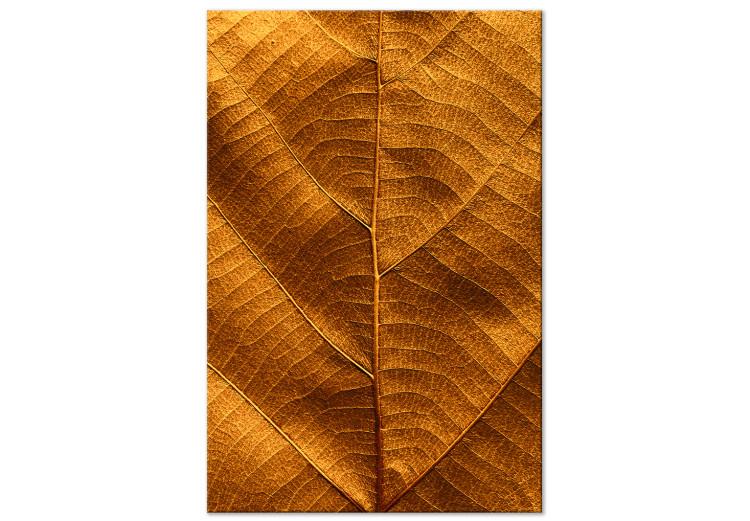 Canvas Print Leaf nerve - a golden colour photograph with a botanical motif
