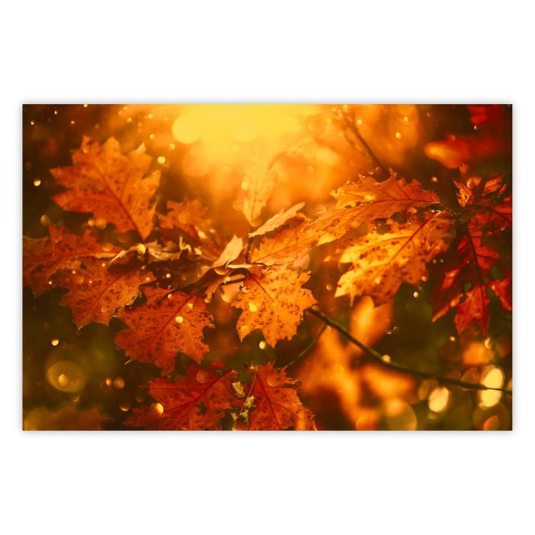 Poster Dancing Leaves - orange plants in golden autumn motif