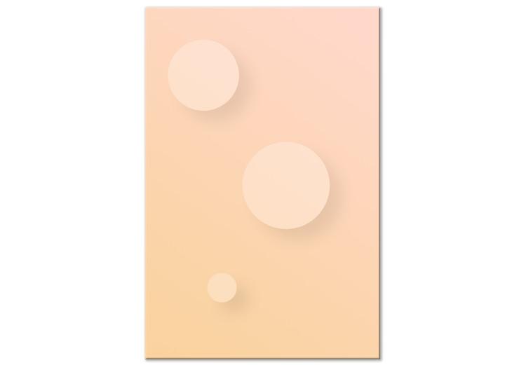 Canvas Print Pastel circles - an abstract composition in a beige and pink colour