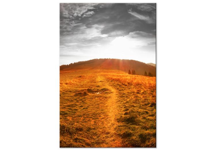 Canvas Print Bieszczady in the sun - photograph of mountain meadows in the sunshine