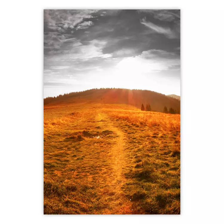 Poster Idyll - nature landscape against meadow backdrop in sunlight