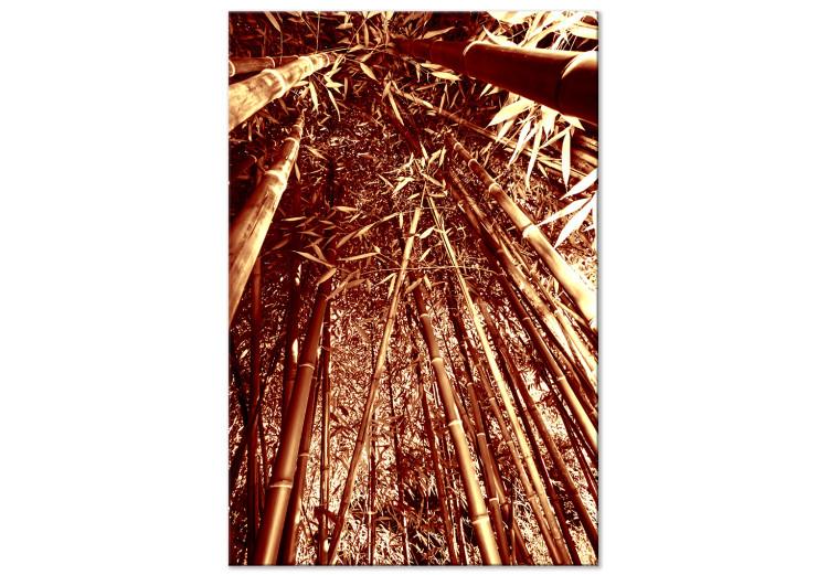 Canvas Print Bamboo forest in sepia - exotic nature photography with trees