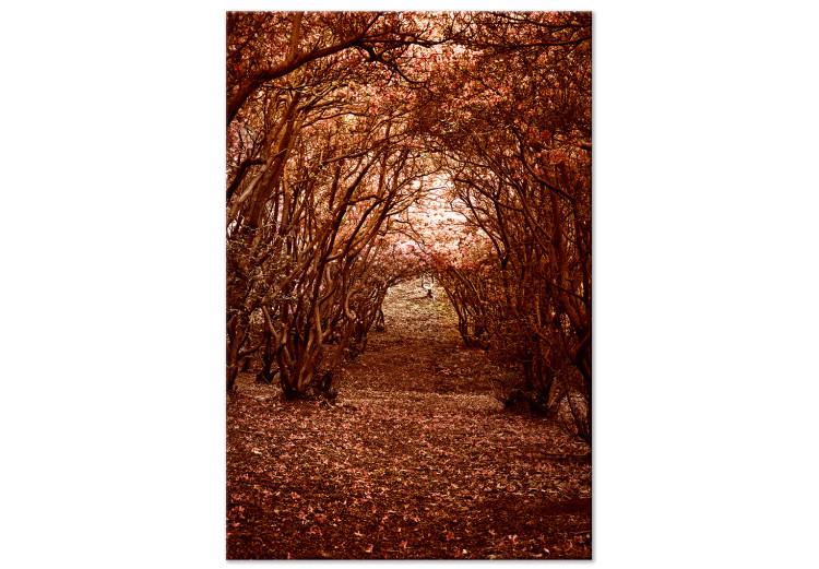 Canvas Print Corridor of trees - autumn forest path covered with leaves