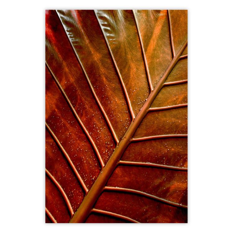 Poster September Dusk - detailed leaf texture in autumn colors