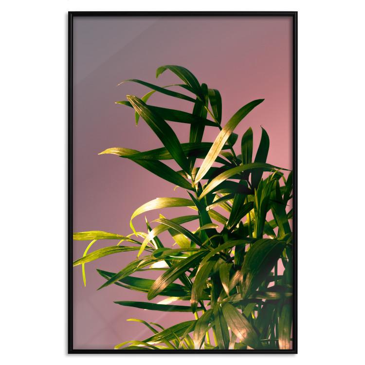 Poster Botanical Detail - green leaves in light glow on pink background