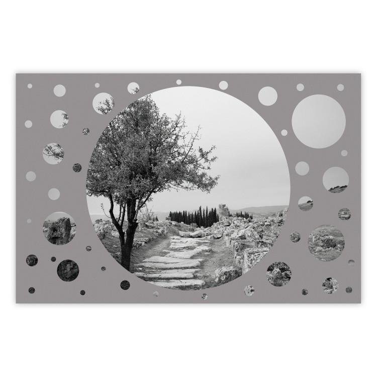 Poster Hierapolis - black and white landscape of trees in circular frame