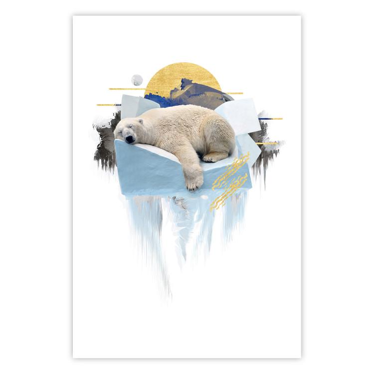 Poster Polar Bear - sleeping winter animal amidst ice on white background