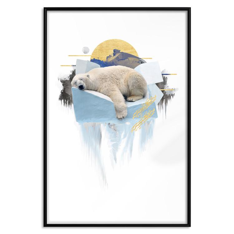 Poster Polar Bear - sleeping winter animal amidst ice on white background