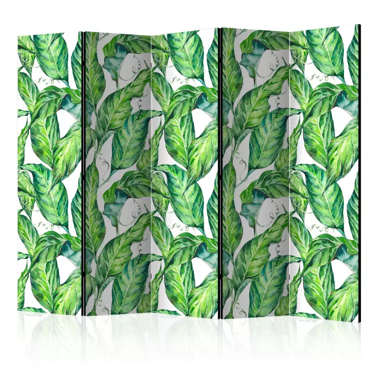 Room Divider Long Leaves II (5-piece) - tropical plants on a white background