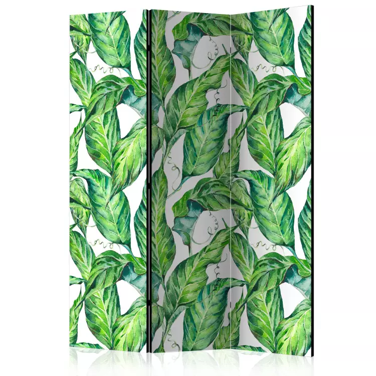 Room Divider Long Leaves (3-piece) - pattern of tropical plants on a white background